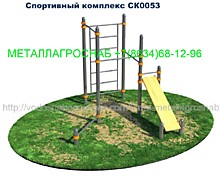 Спортивный комплекс воркаут СК0053